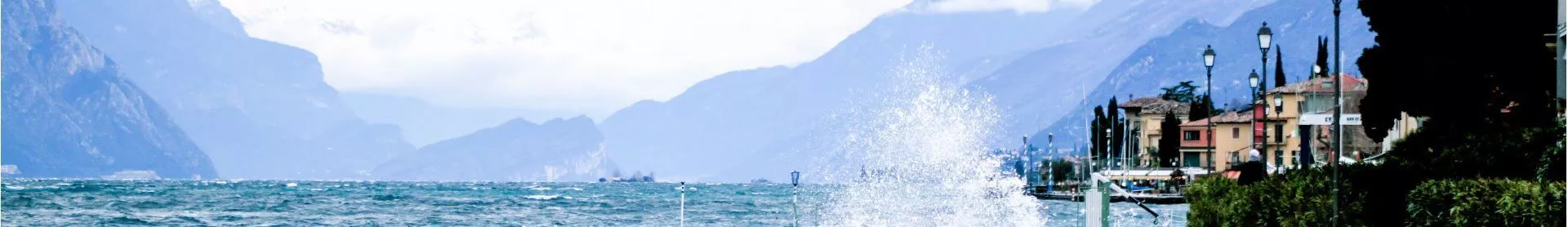 standard-header1
